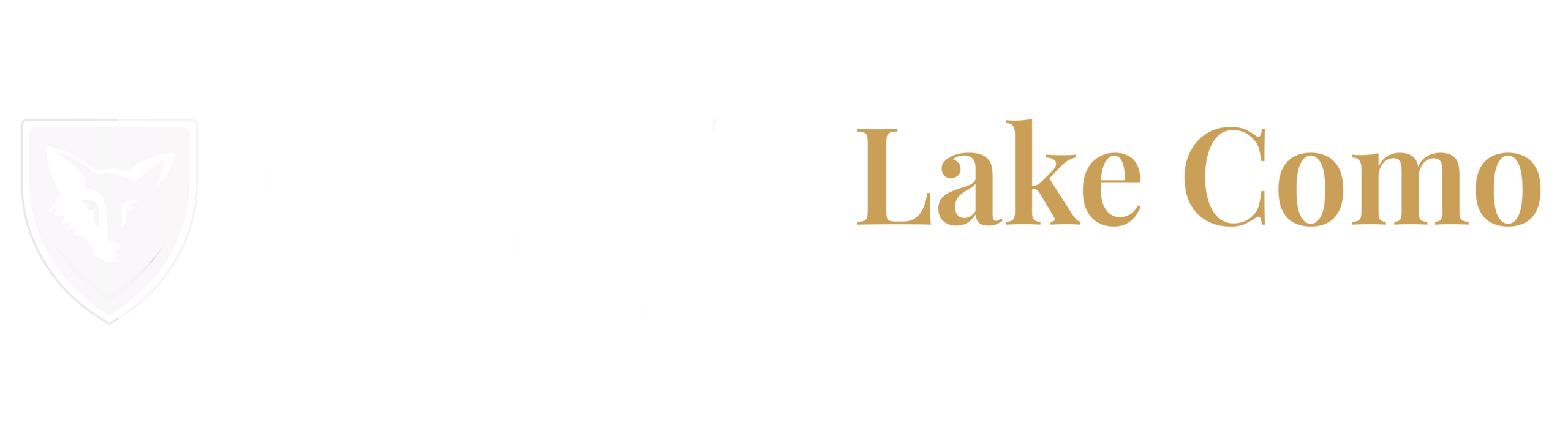 Lake Como Security Logo